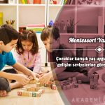 Montessori Yaklaşımı Ücretsiz Sertifikalı Eğitim