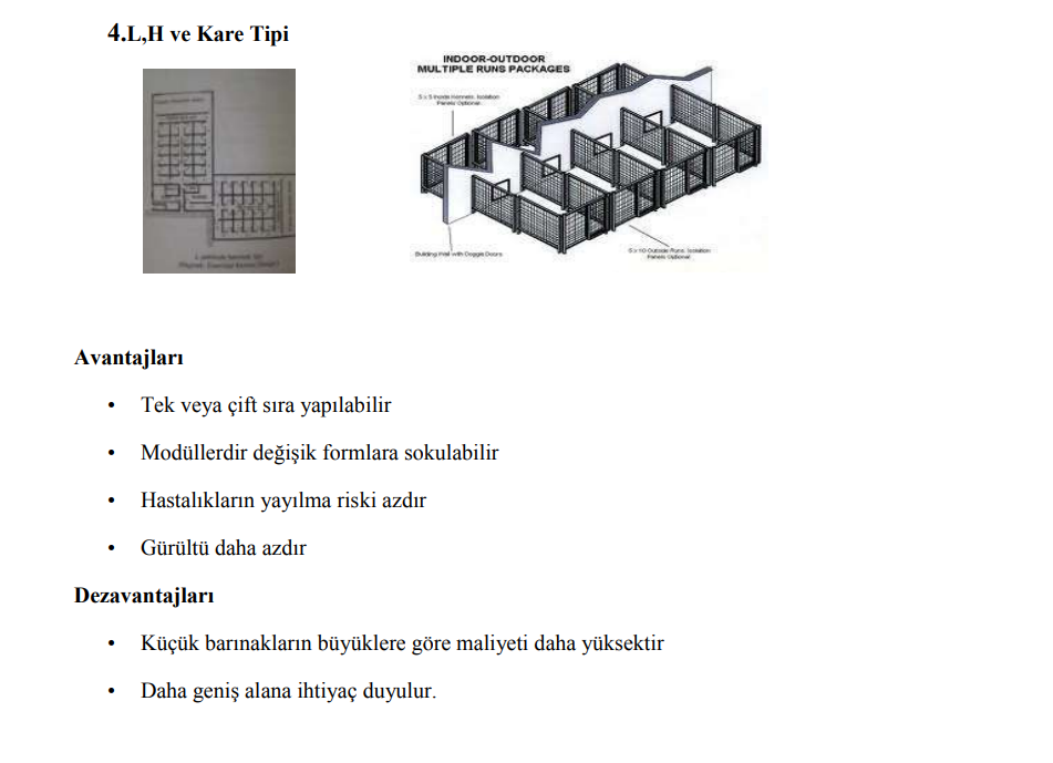 Kopek Ciftlikleri Global Enstitu